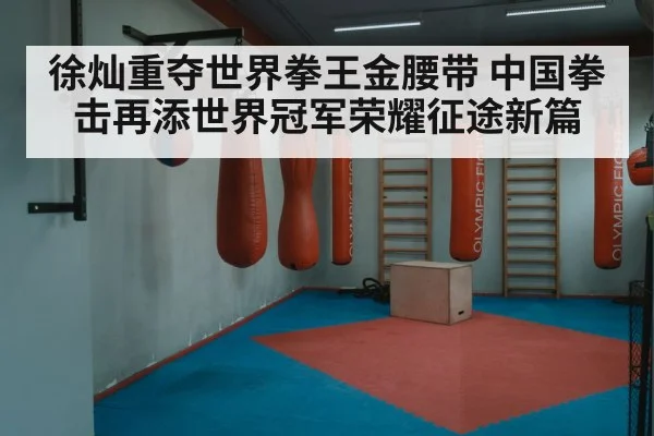 徐灿重夺世界拳王金腰带 中国拳击再添世界冠军荣耀征途新篇